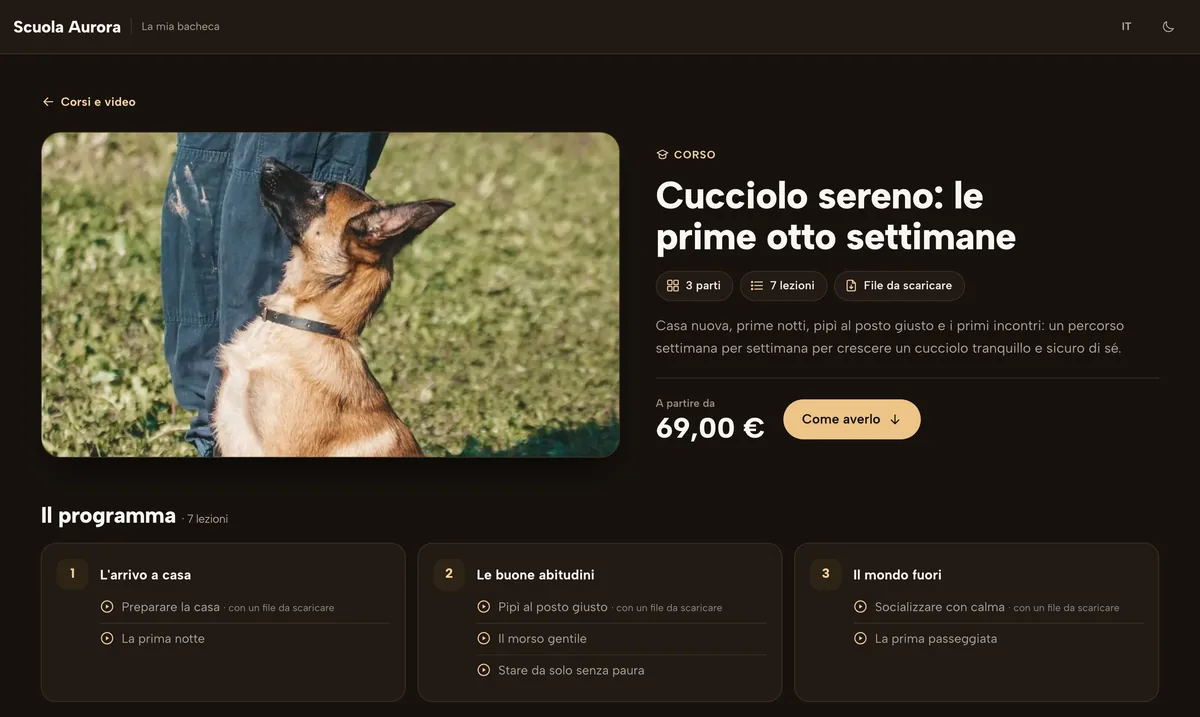 La pagina del corso: Quello che vede il proprietario prima di comprare: il programma lezione per lezione e il prezzo.