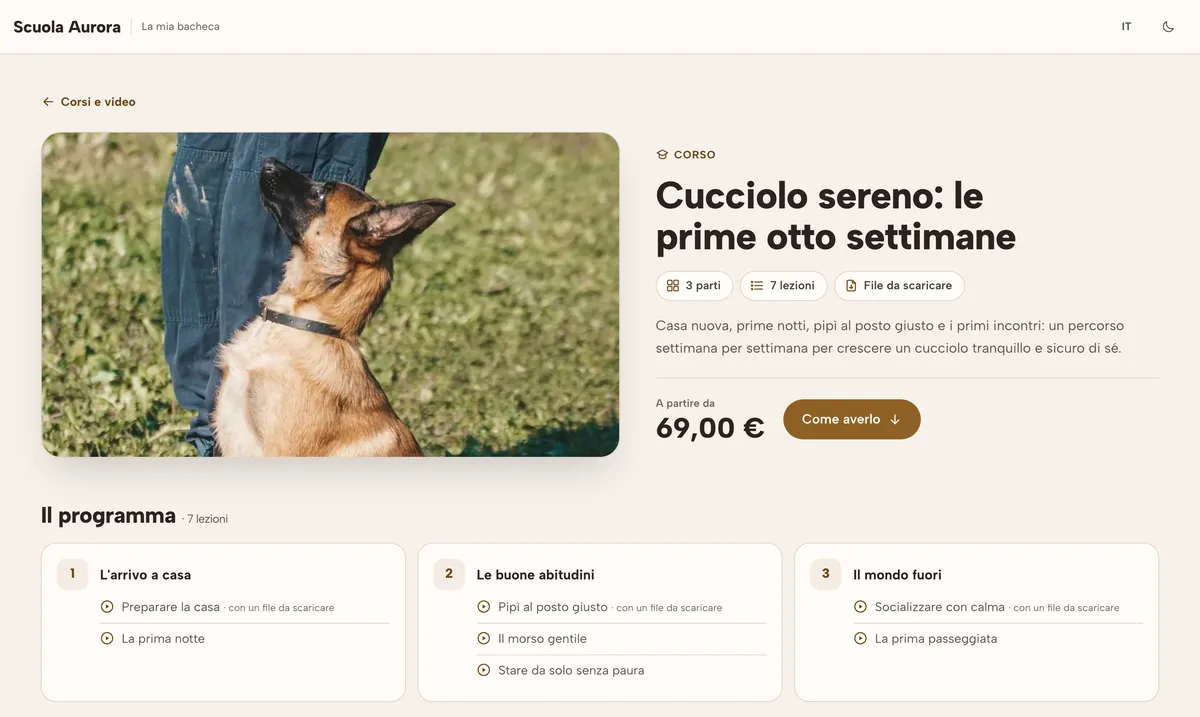 La pagina del corso: Quello che vede il proprietario prima di comprare: il programma lezione per lezione e il prezzo.