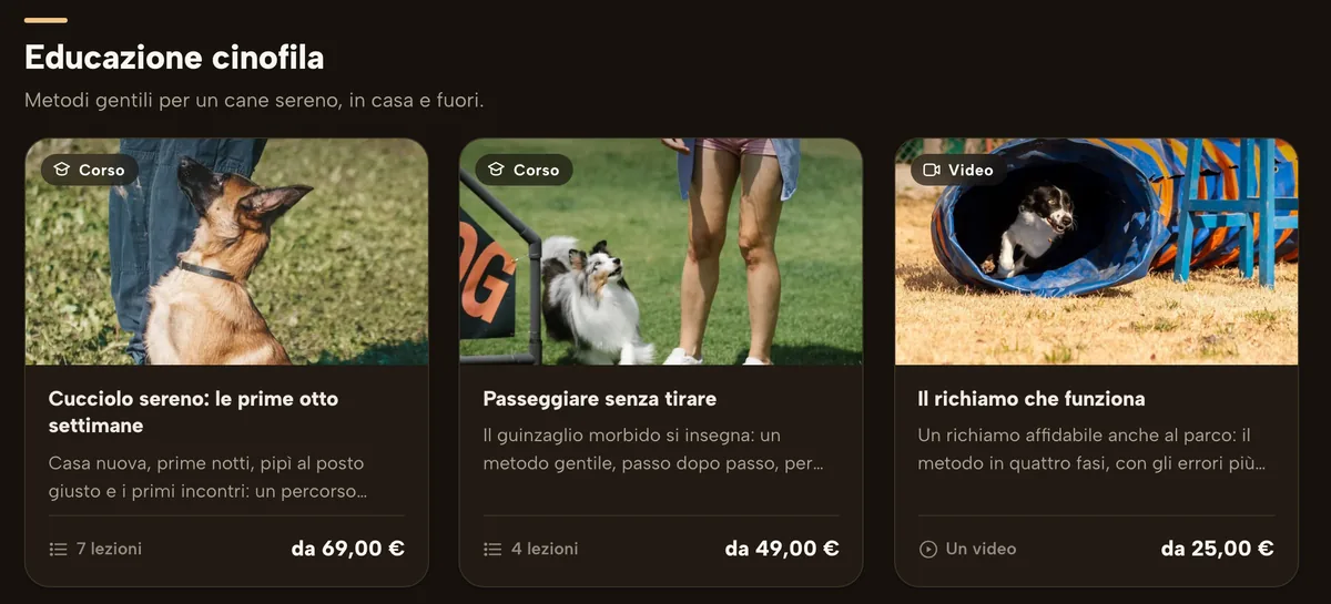 La vetrina: La vetrina dei tuoi corsi, divisa per argomento: si mette anche dentro il tuo sito.