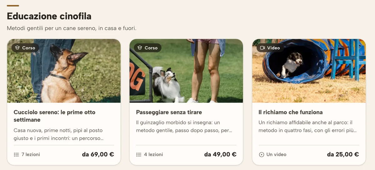 La vetrina: La vetrina dei tuoi corsi, divisa per argomento: si mette anche dentro il tuo sito.