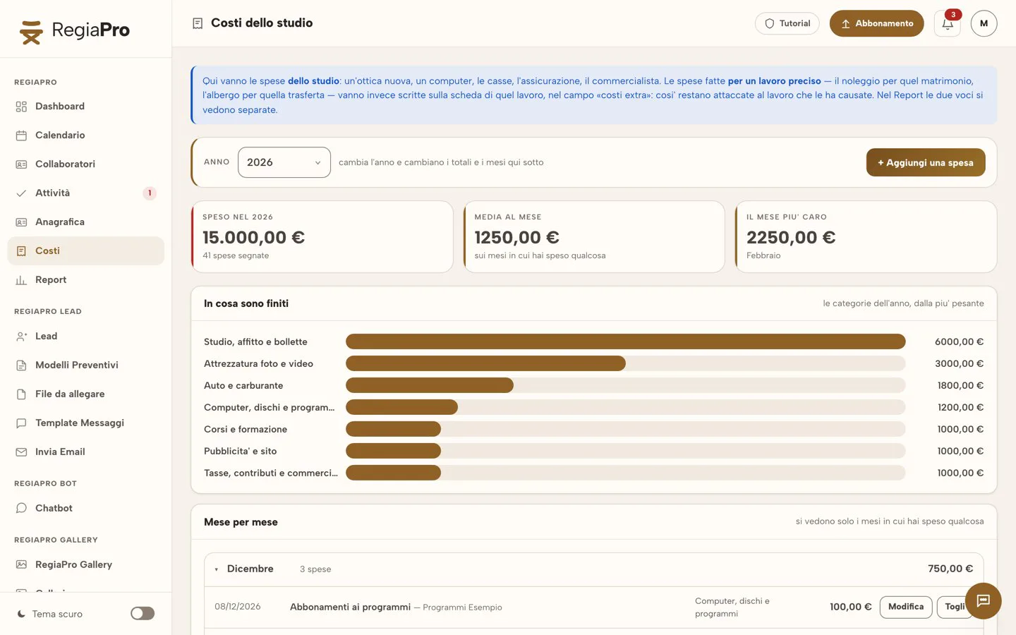 La pagina Costi dello studio di RegiaPro: le spese dell'anno divise per categoria