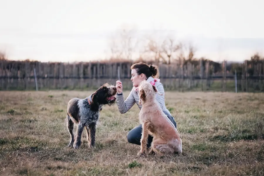 Educatrice con due cani in un campo aperto